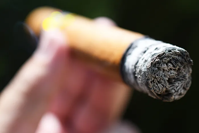 高希霸 Siglo IV（世纪4号）品吸 - 高希霸雪茄